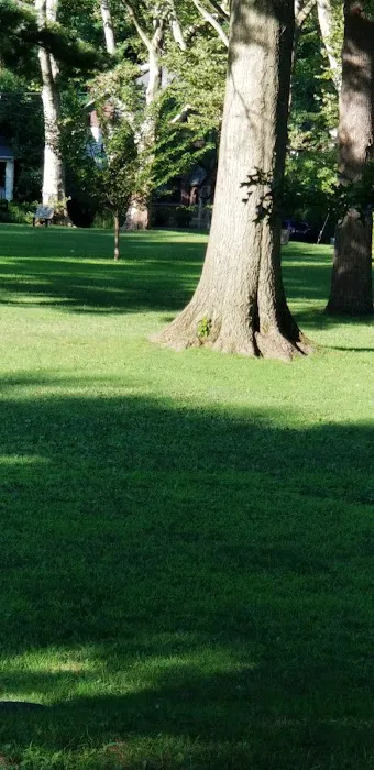 Davis Park Picture 1