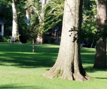 Davis Park
