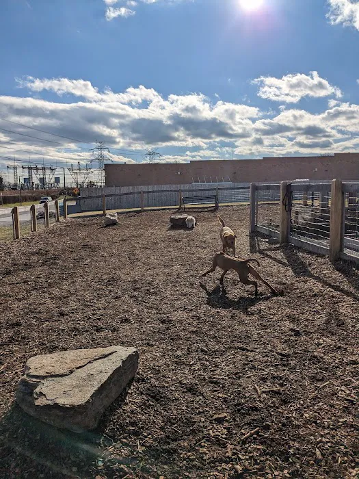 Ridge Hill Dog Park Picture 2