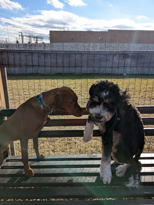 Ridge Hill Dog Park Picture 1