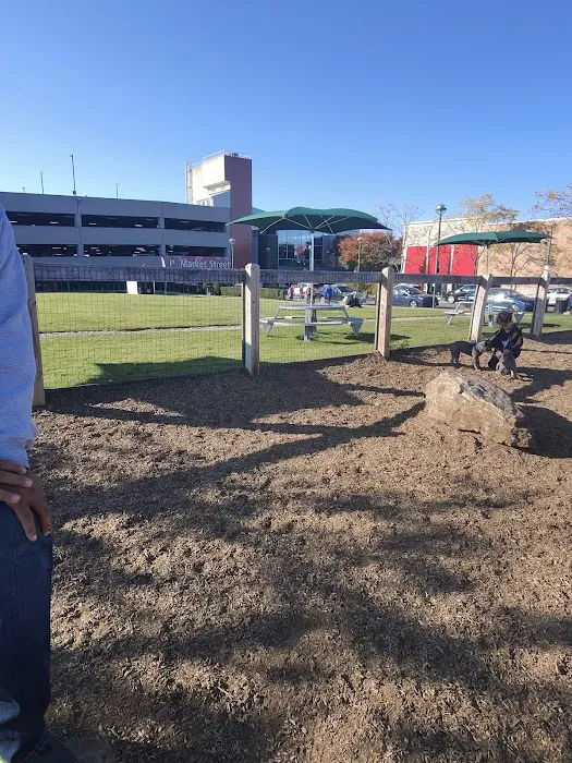 Ridge Hill Dog Park Picture 7