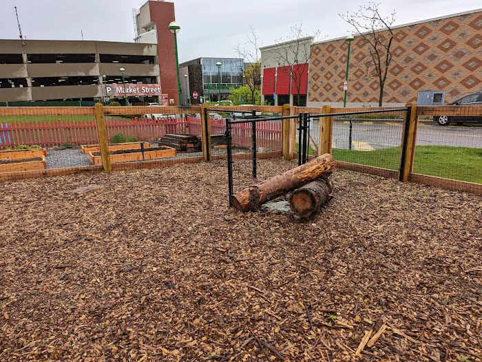 Ridge Hill Dog Park Picture 8