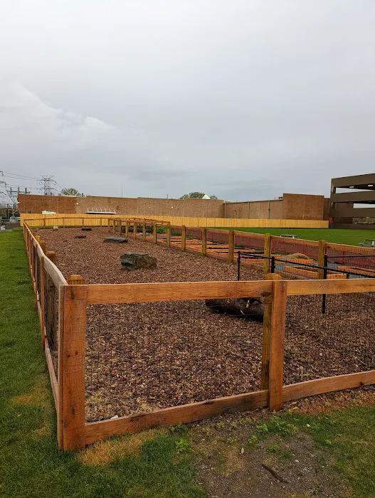 Ridge Hill Dog Park Picture 4