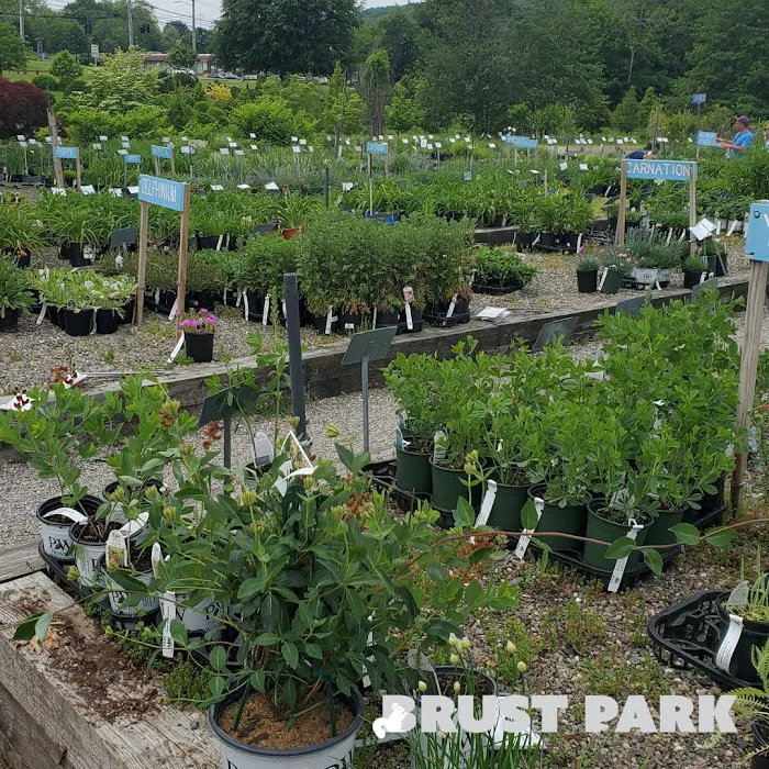 Brust Park Picture 7