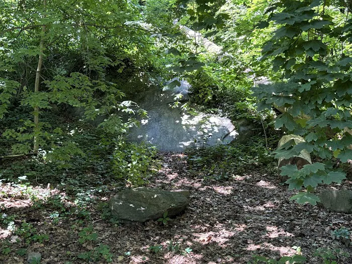 Brust Park Picture 4