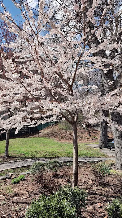 Brust Park Picture 6