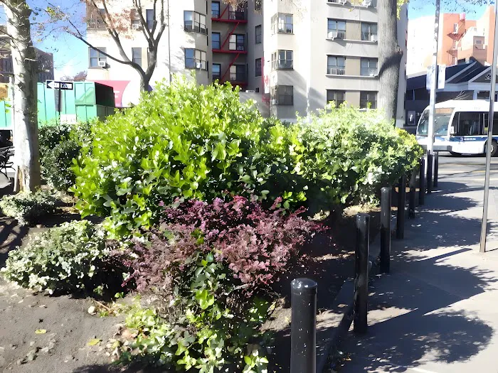 Barnhill Square Picture 7