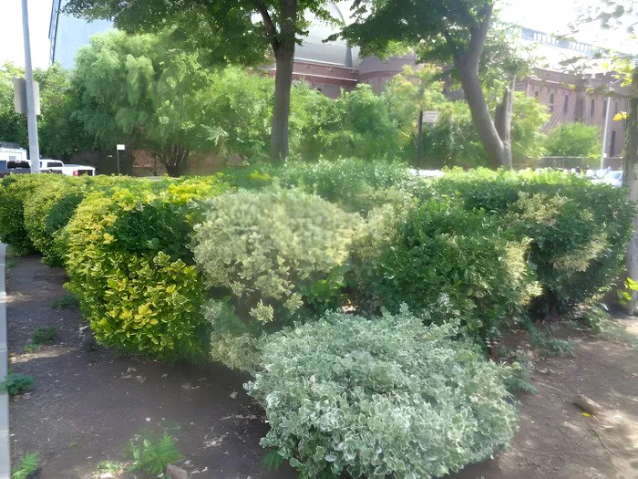 Barnhill Square Picture 6