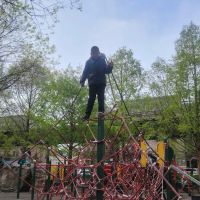 St. James Park ico