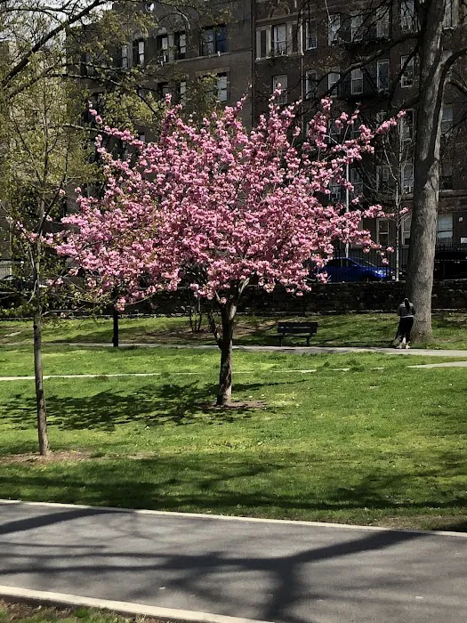 St. James Park Picture 6