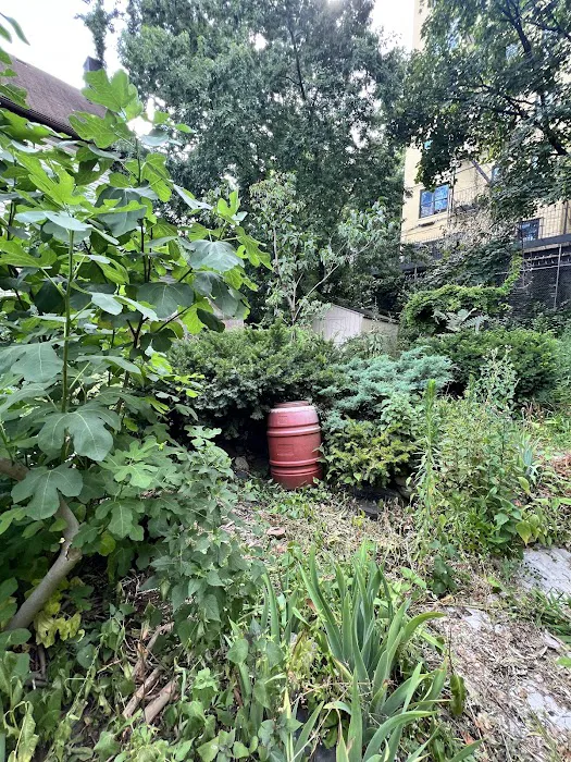 Fordham Bedford Lot-Busters Community Garden Picture 8