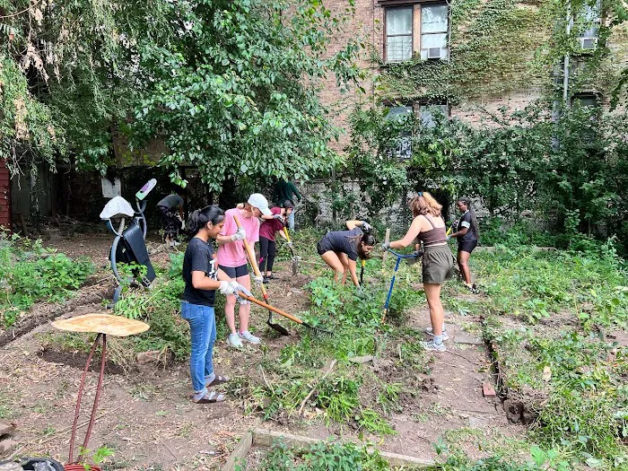 Fordham Bedford Lot-Busters Community Garden Picture 9