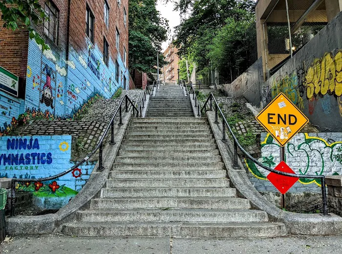 The Stairs At West 238th Picture 2