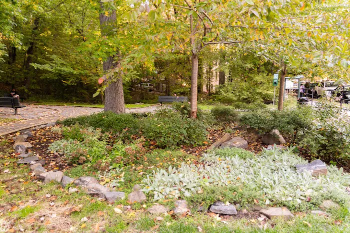 Friends of Brust Park Picture 2