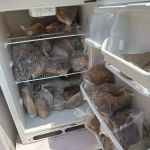 Riverdale Community Fridge