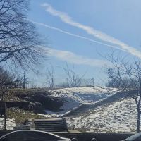Walter Gladwin Park ico