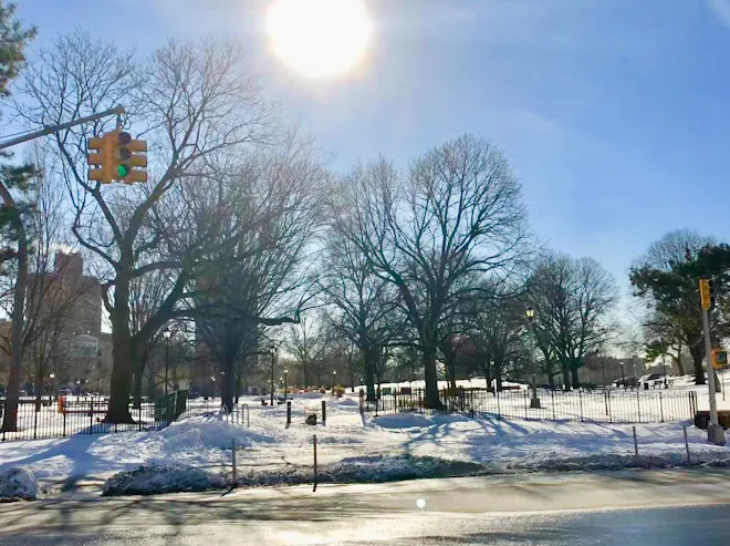Crotona Park Picture 5