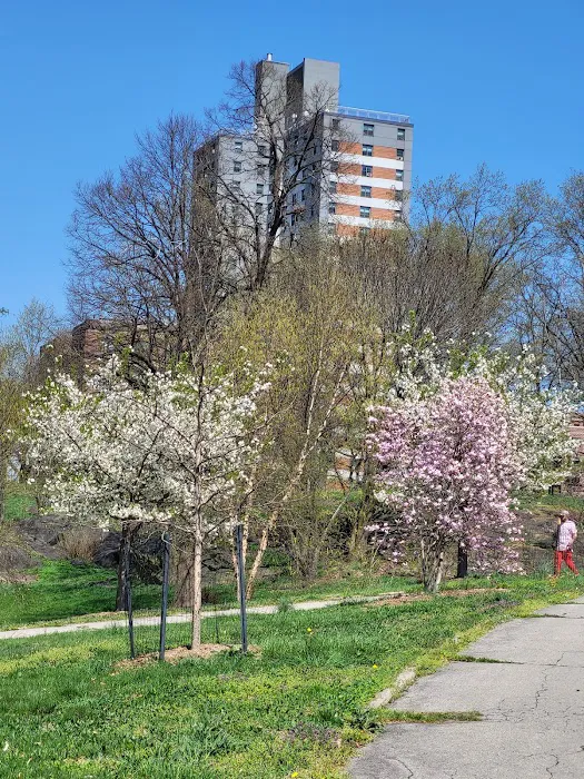 Crotona Park Picture 3
