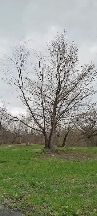 Crotona Park Picture 1