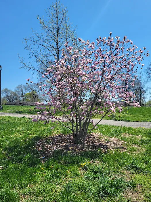 Crotona Park Picture 4