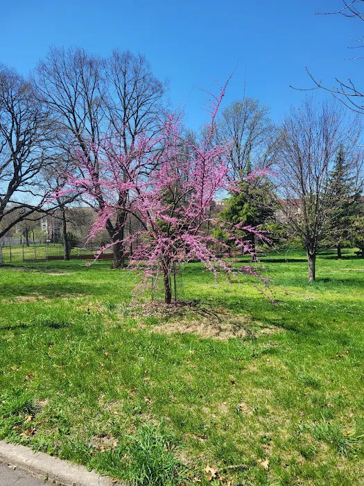 Crotona Park Picture 9