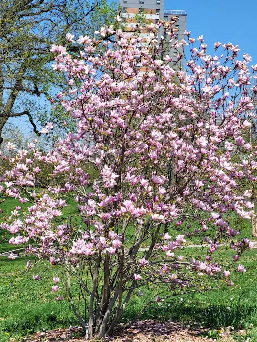 Crotona Park Picture 10