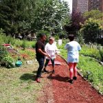 Jardin De La Familia