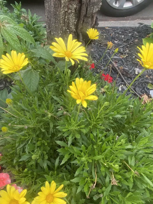 Jardin De La Familia Picture 9