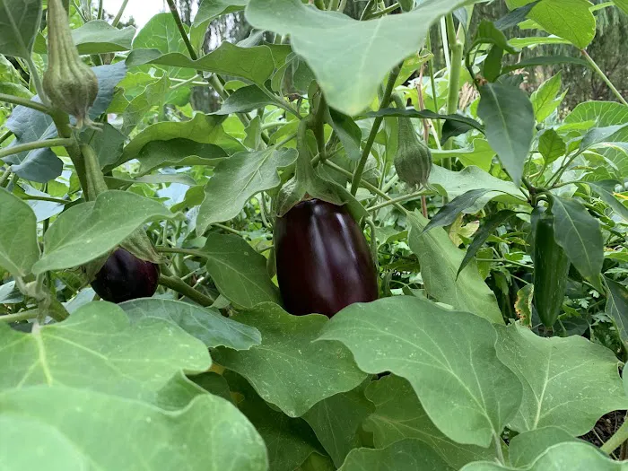 Jardin De La Familia Picture 4