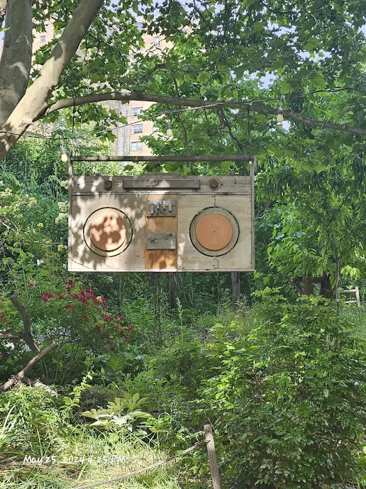 Bruckner Mott Haven Garden Picture 2