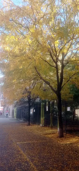 Gouverneur Morris Square Picture 2