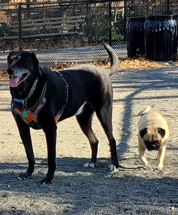 St. Mary's Dog Run Picture 4