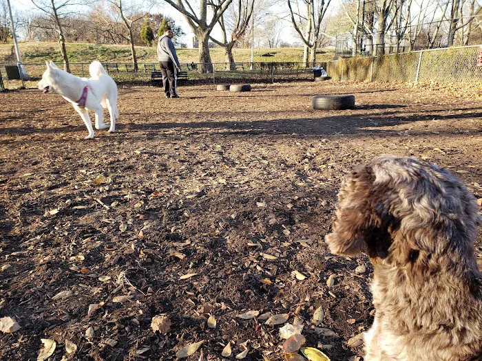 St. Mary's Dog Run Picture 6