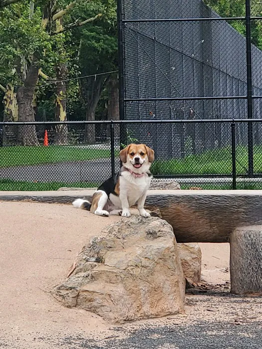 St. Mary's Dog Run Picture 7