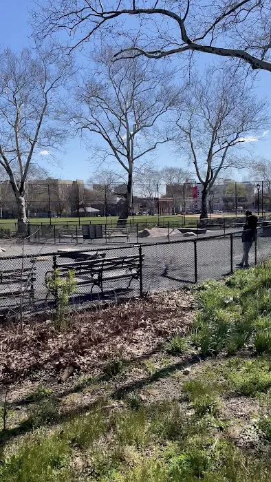 St. Mary's Dog Run Picture 3