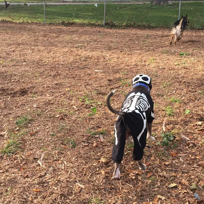 St. Mary's Dog Run Picture 10