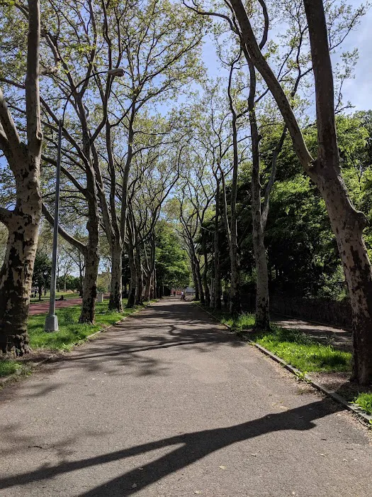 I-Am-Park Picture 1