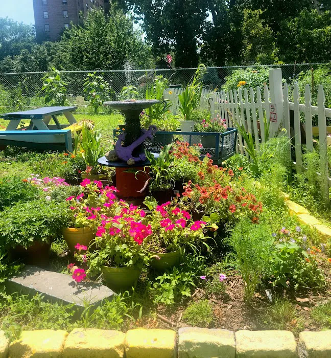 138th Street Community Garden Picture 6