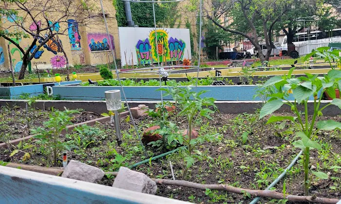 138th Street Community Garden Picture 2