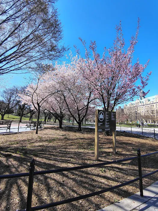 St. Mary's Park Picture 4