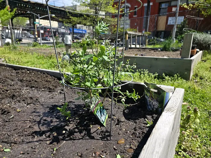 Eagle Slope Community Garden Picture 7