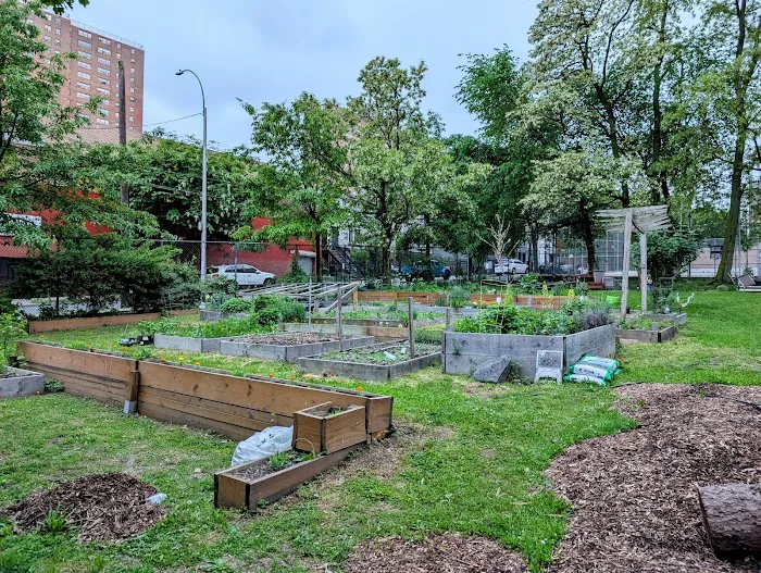 Eagle Slope Community Garden Picture 10