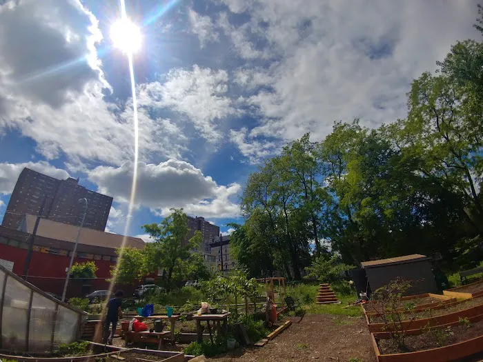 Eagle Slope Community Garden Picture 3