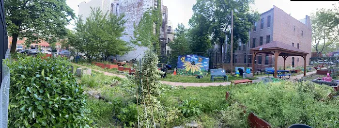 Jackson Forest Community Garden Picture 2
