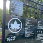 Jackson Forest Community Garden