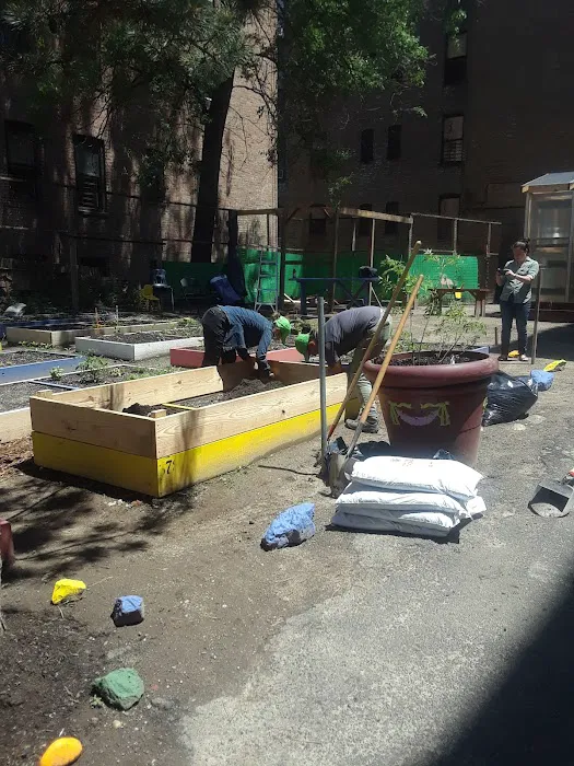 La Isla USA Community Garden Picture 5