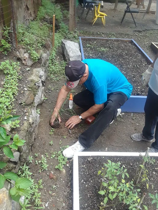 La Isla USA Community Garden Picture 8