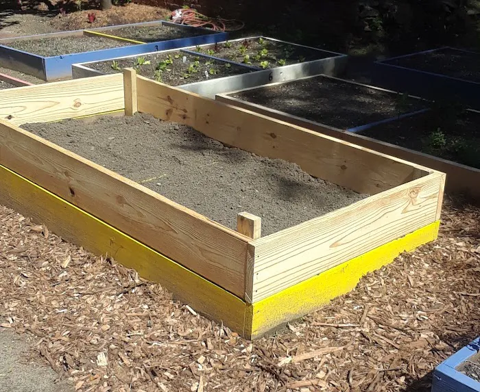 La Isla USA Community Garden Picture 3
