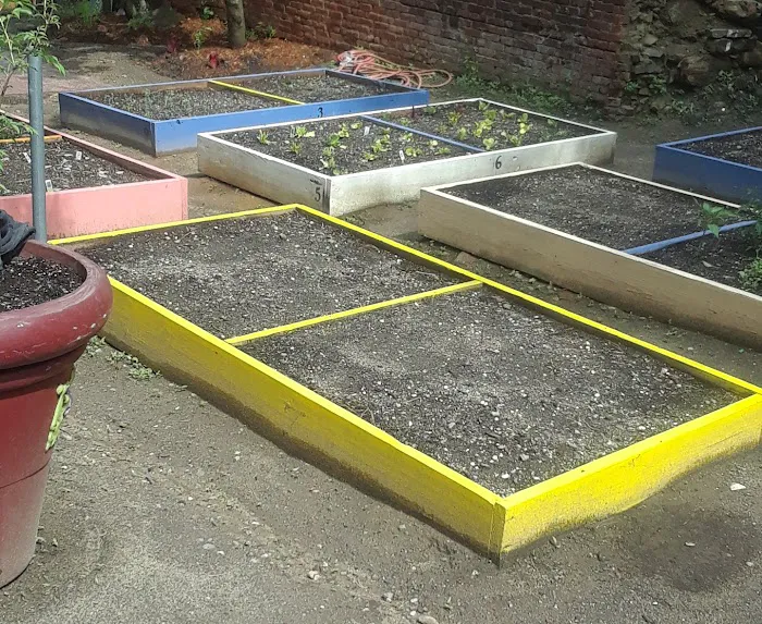 La Isla USA Community Garden Picture 1