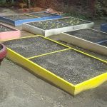 La Isla USA Community Garden